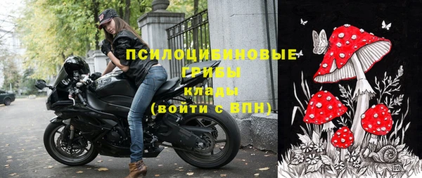 гашик Абаза